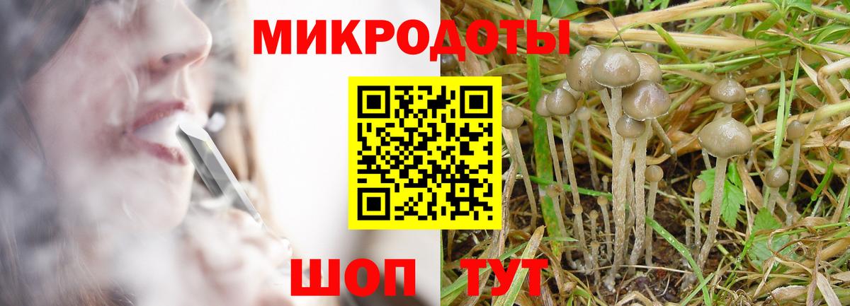Галлюциногенные грибы Magic Shrooms  Вход с VPN  Туймазы  Псилоцибиновые грибы Magic Shrooms 